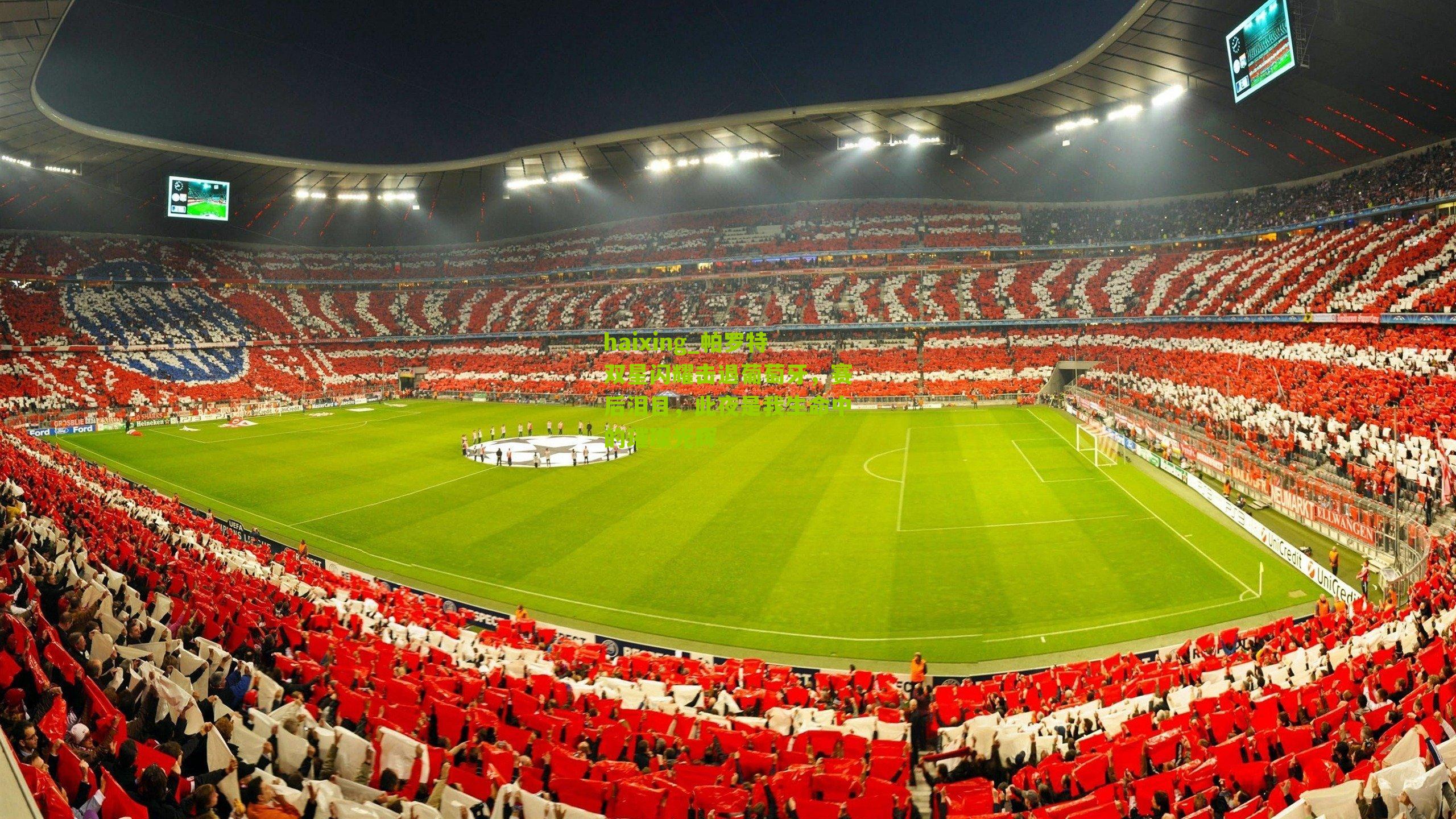 haixing_帕罗特双星闪耀击退葡萄牙，赛后泪目，此夜是我生命中的璀璨光辉