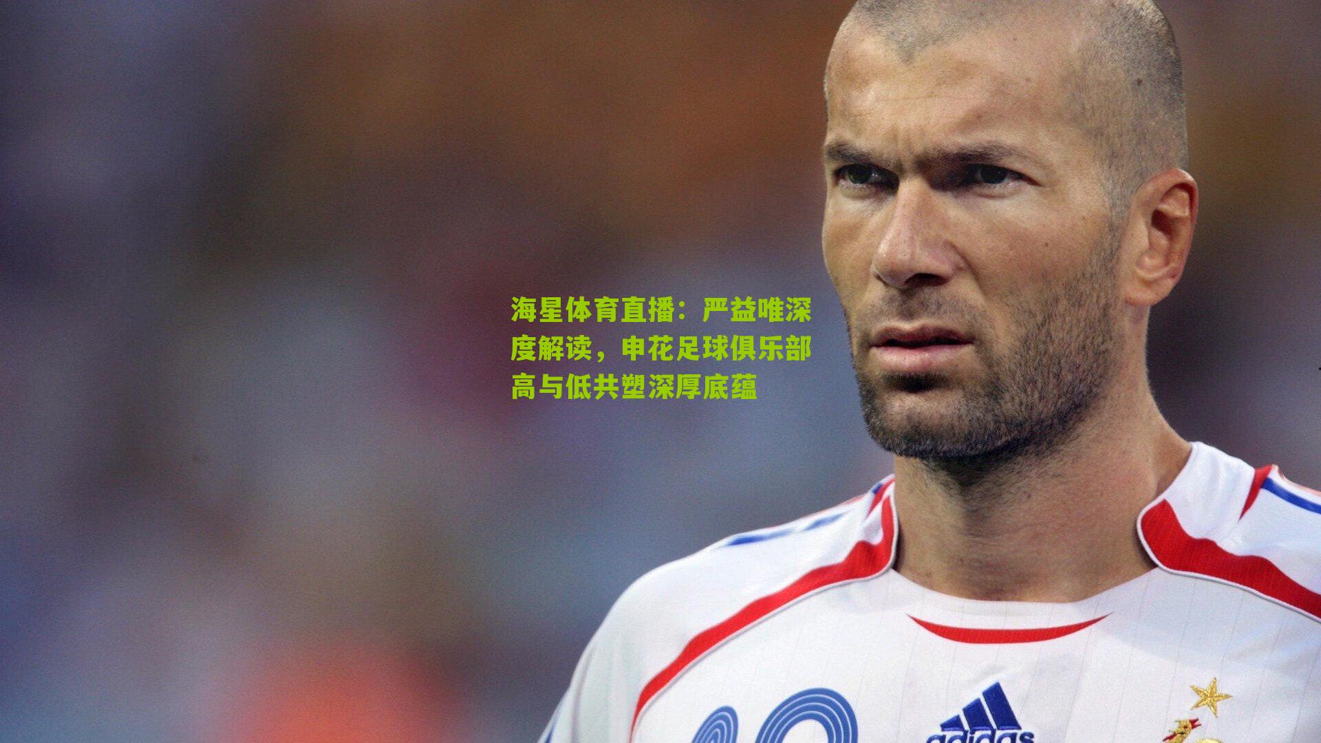 严益唯深度解读，申花足球俱乐部高与低共塑深厚底蕴
