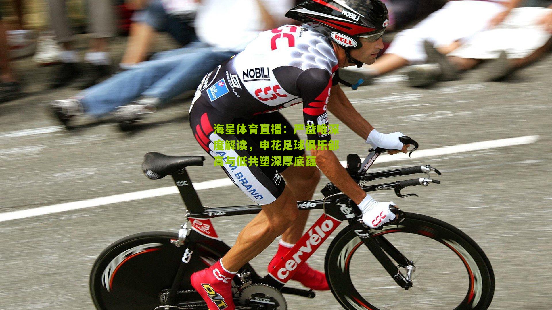 严益唯深度解读，申花足球俱乐部高与低共塑深厚底蕴